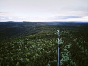 Jahresrückblick 2024 - Blick auf den Schwarzwald